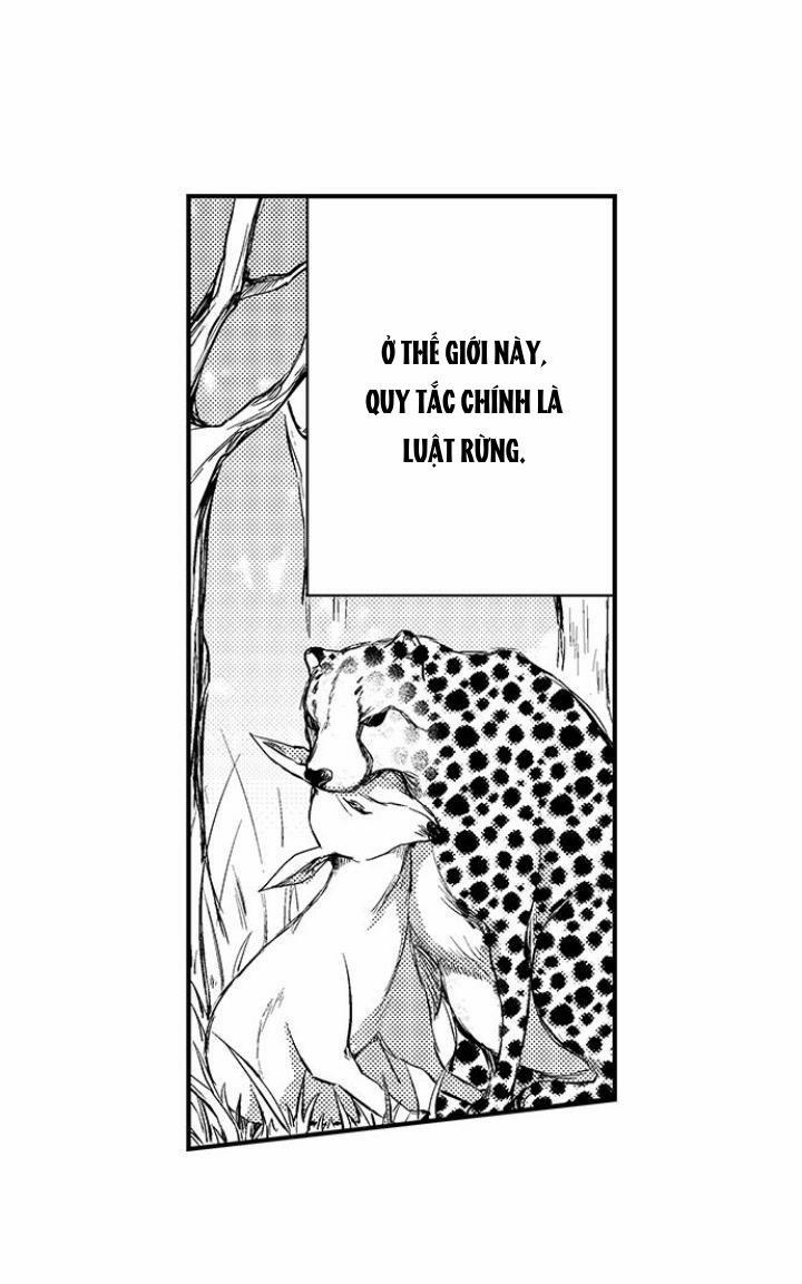 Bắt trọn bữa tiệc 1 trang 2