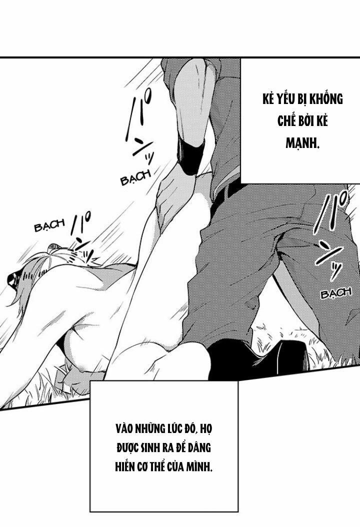 Bắt trọn bữa tiệc 1 trang 3