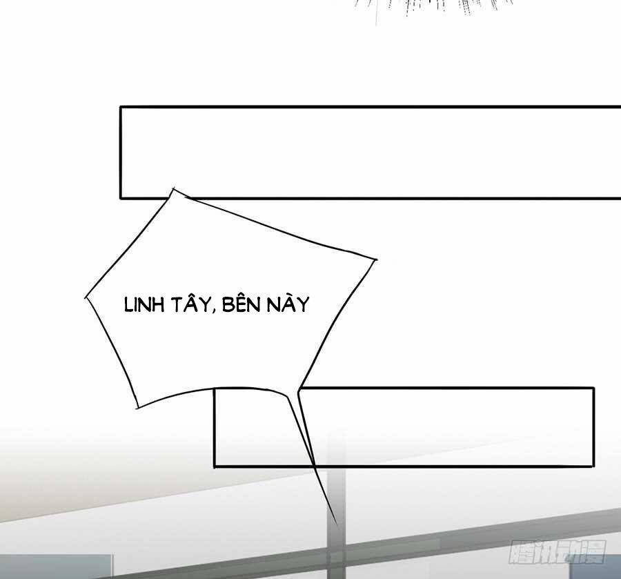 Bảy Ngày Thực Cốt Hôn Ước 18 trang 12