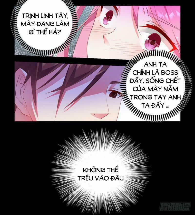 Bảy Ngày Thực Cốt Hôn Ước 4 trang 4