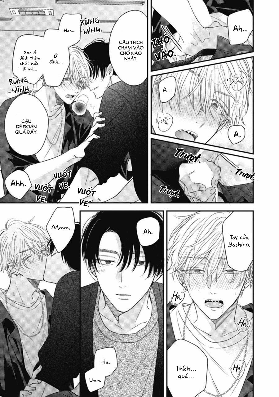 Bẫy Thiên Đường 2 trang 19
