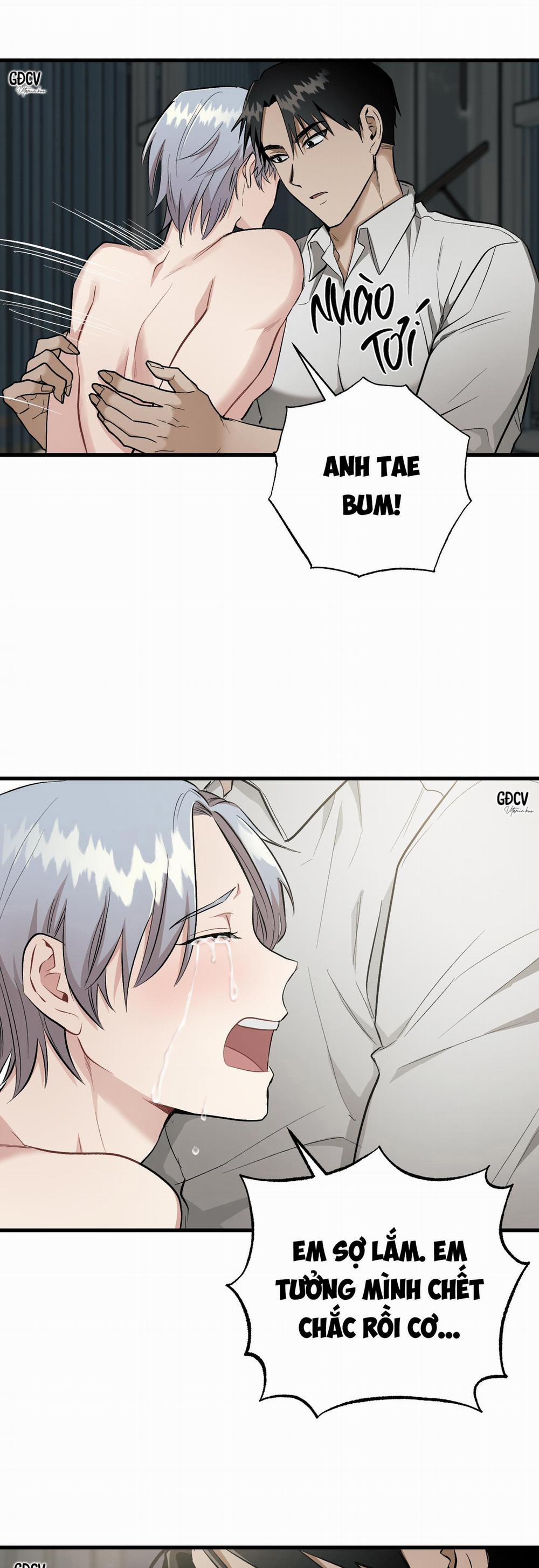 BÊ BỐI THÔI MIÊN 6 0 trang 26