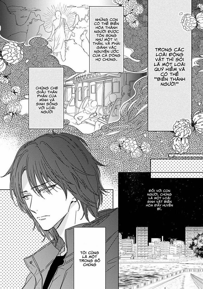 Bé Cưng Chưa Trường Thành 1 trang 13