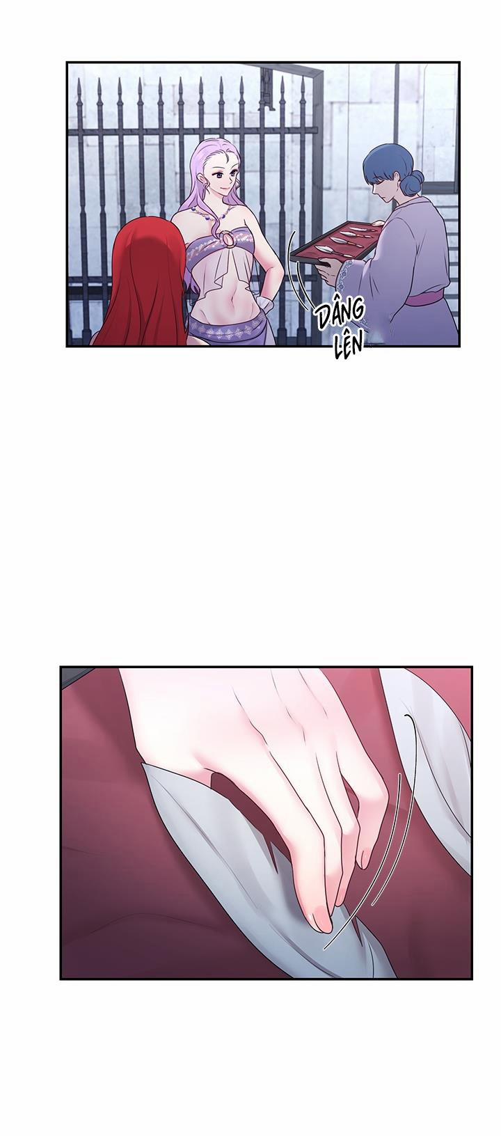 Bệ Hạ Là Của Tôi 29 trang 49