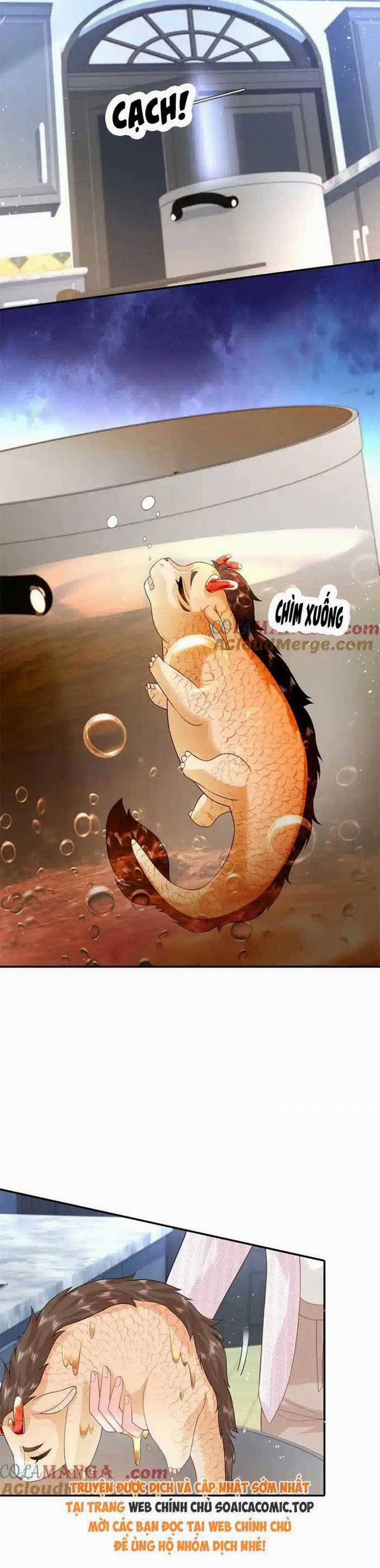 Bé Rồng Đột Kích! Mami Vừa Cay Vừa Độc 113 trang 1