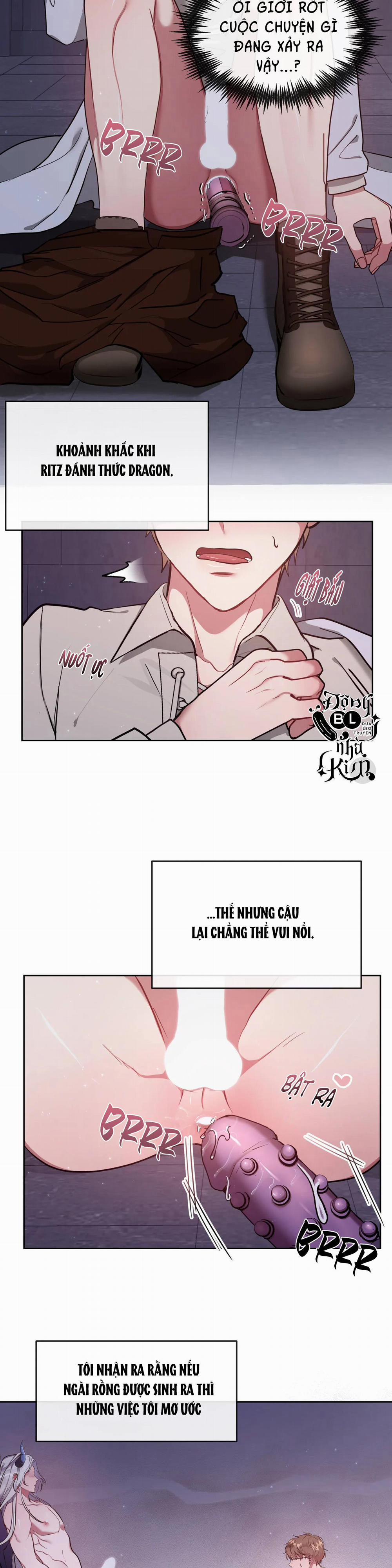 Bên Trong Lâu Đài 2 H+ trang 1