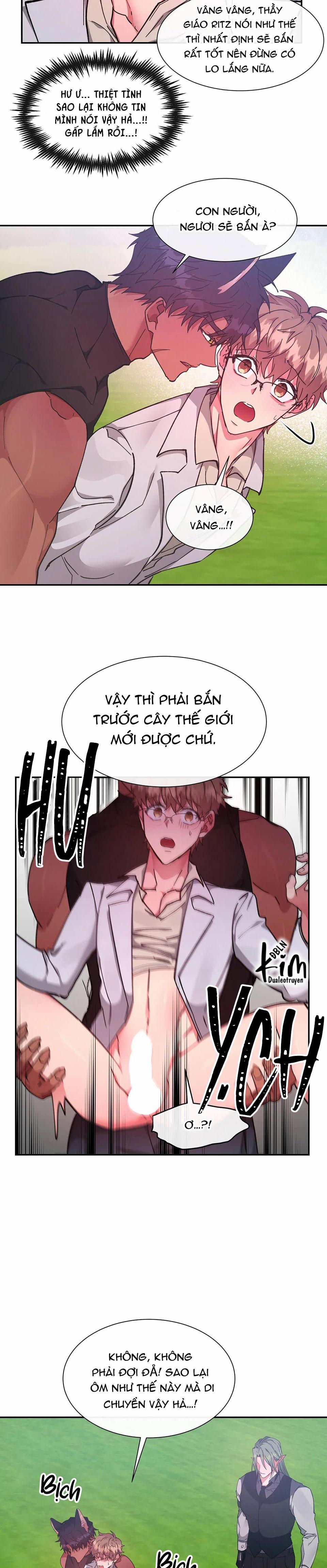 Bên Trong Lâu Đài 29 H+ trang 10