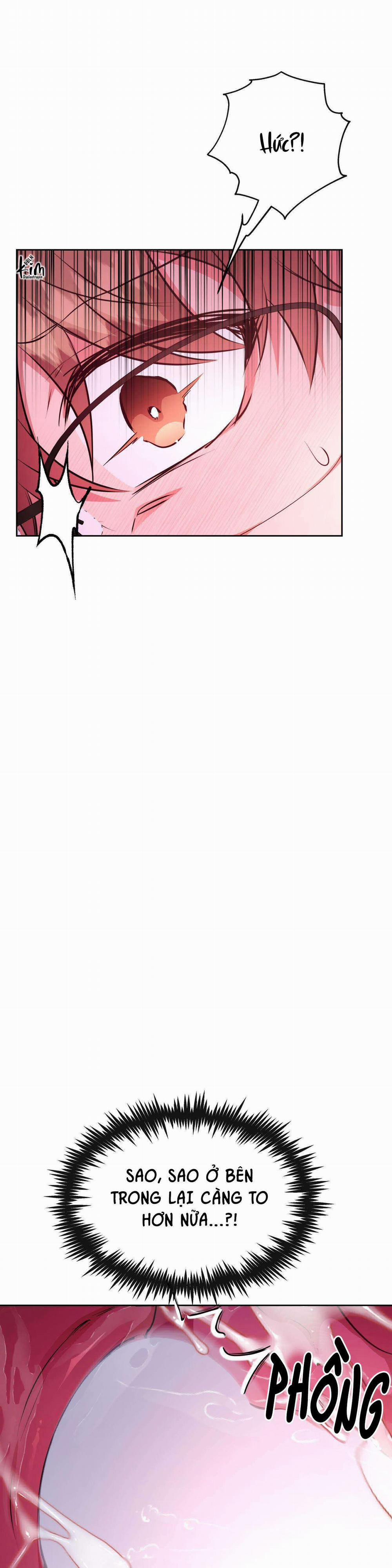 Bên Trong Lâu Đài 39 trang 16