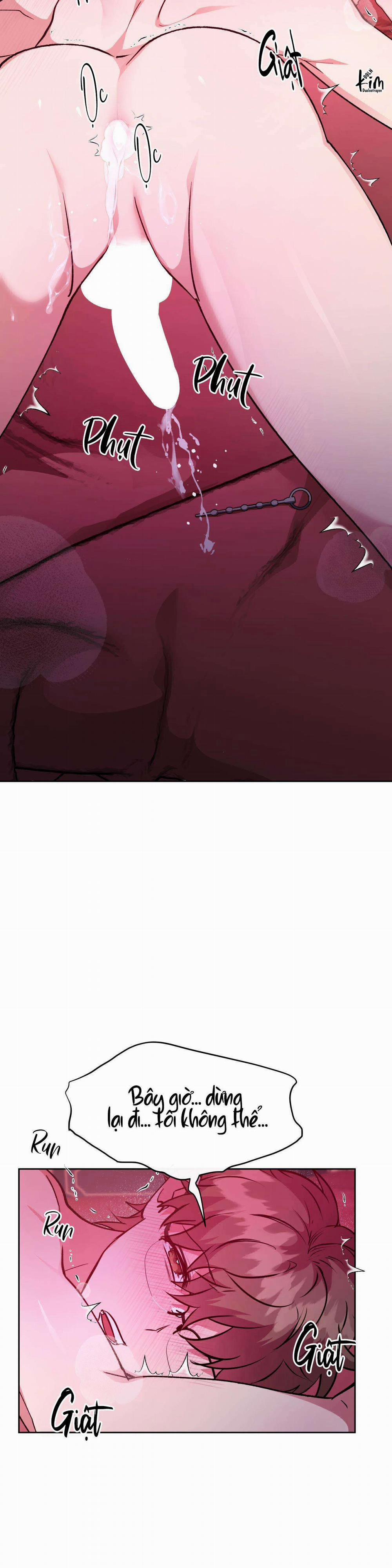 Bên Trong Lâu Đài 39 trang 5