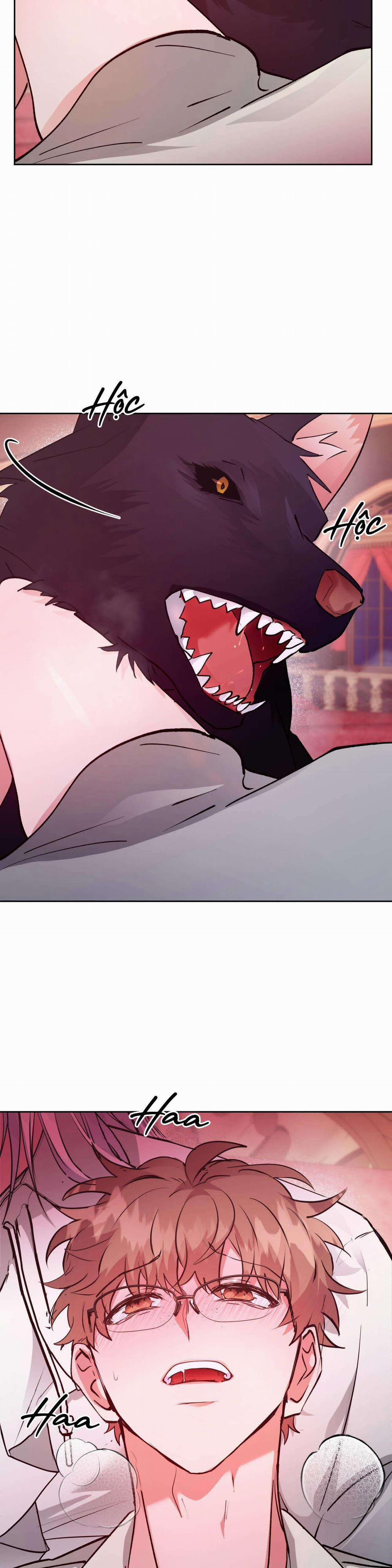 Bên Trong Lâu Đài 40 trang 11