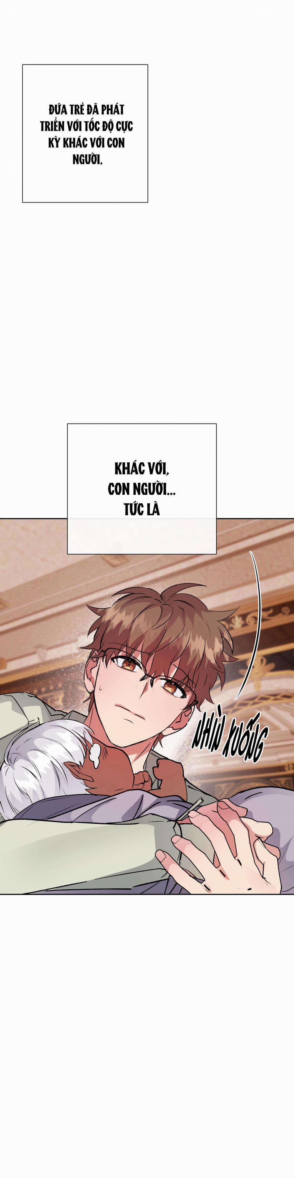 Bên Trong Lâu Đài 40 trang 20