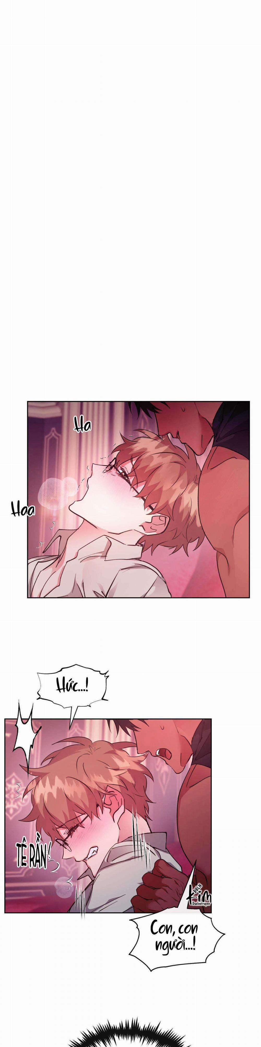 Bên Trong Lâu Đài 40 trang 4