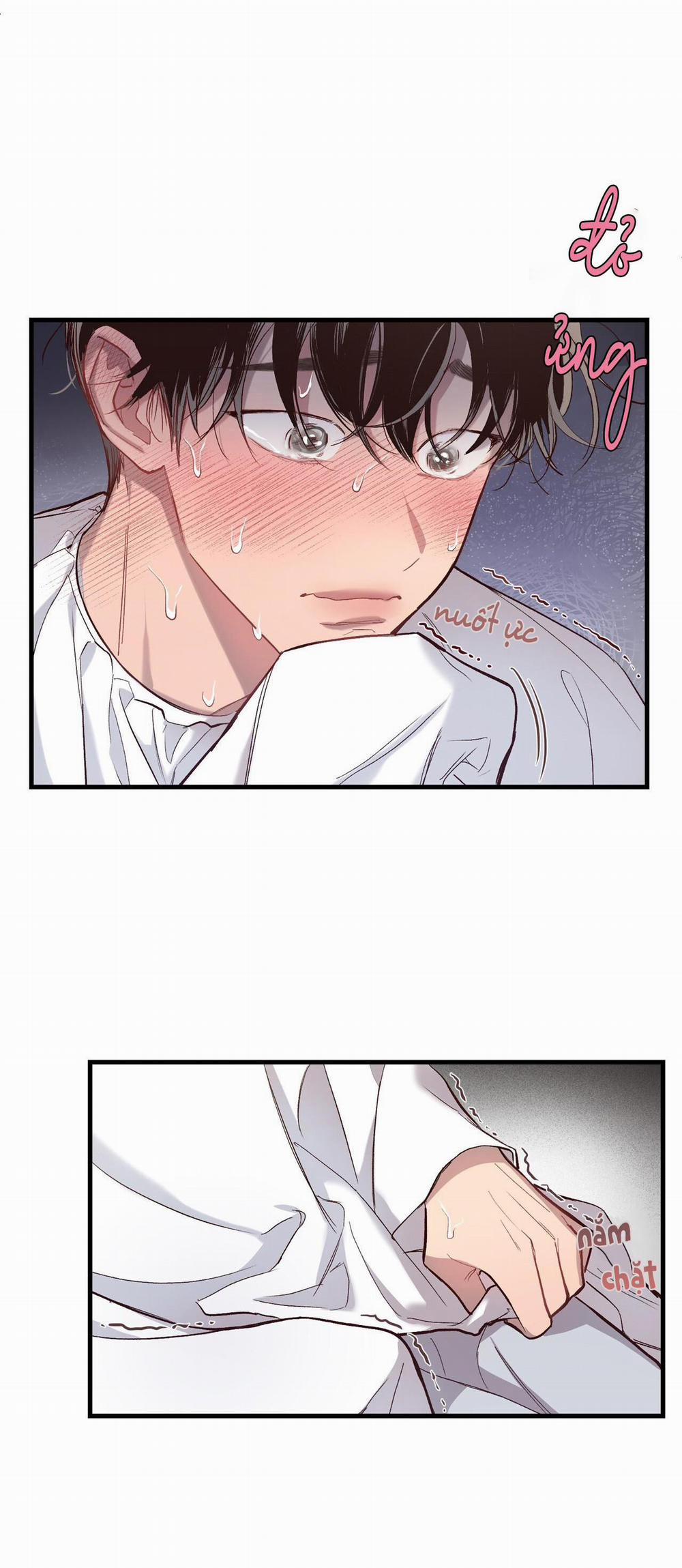 Bí Mật Ẩn Giấu Bên Trong Mái Tóc 5 trang 1