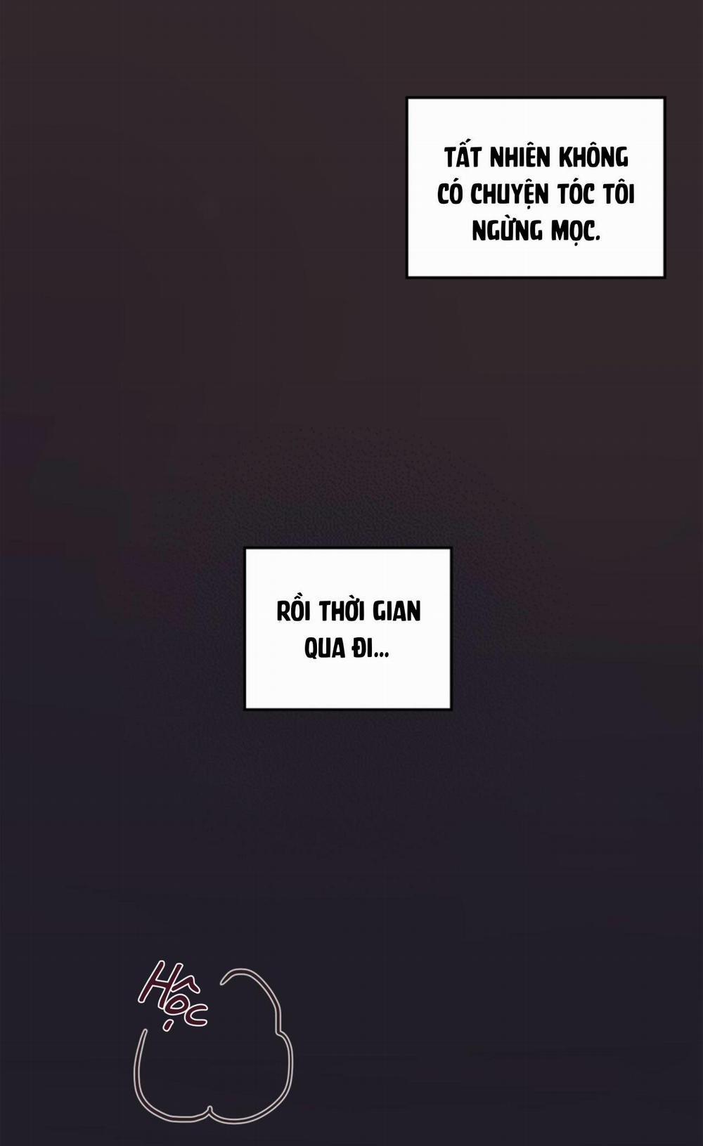 Bí Mật Ẩn Giấu Bên Trong Mái Tóc 6 trang 14