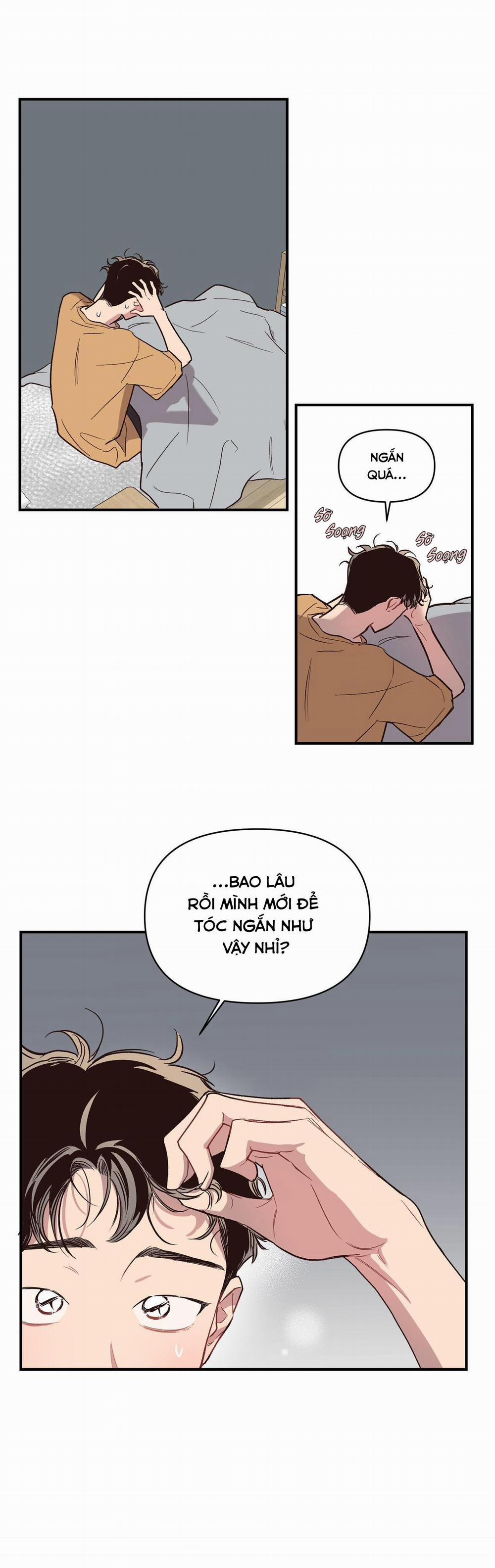 Bí Mật Ẩn Giấu Bên Trong Mái Tóc 6 trang 5