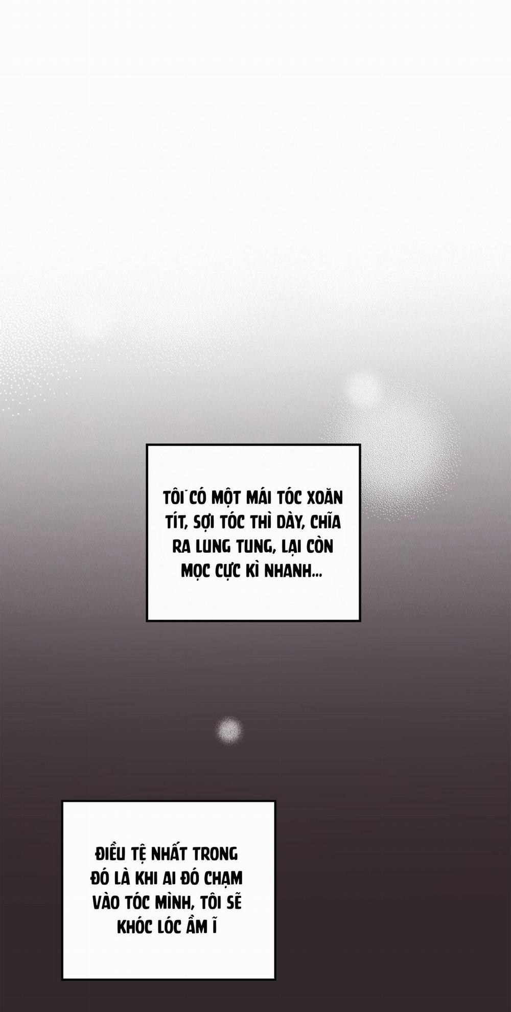Bí Mật Ẩn Giấu Bên Trong Mái Tóc 6 trang 6