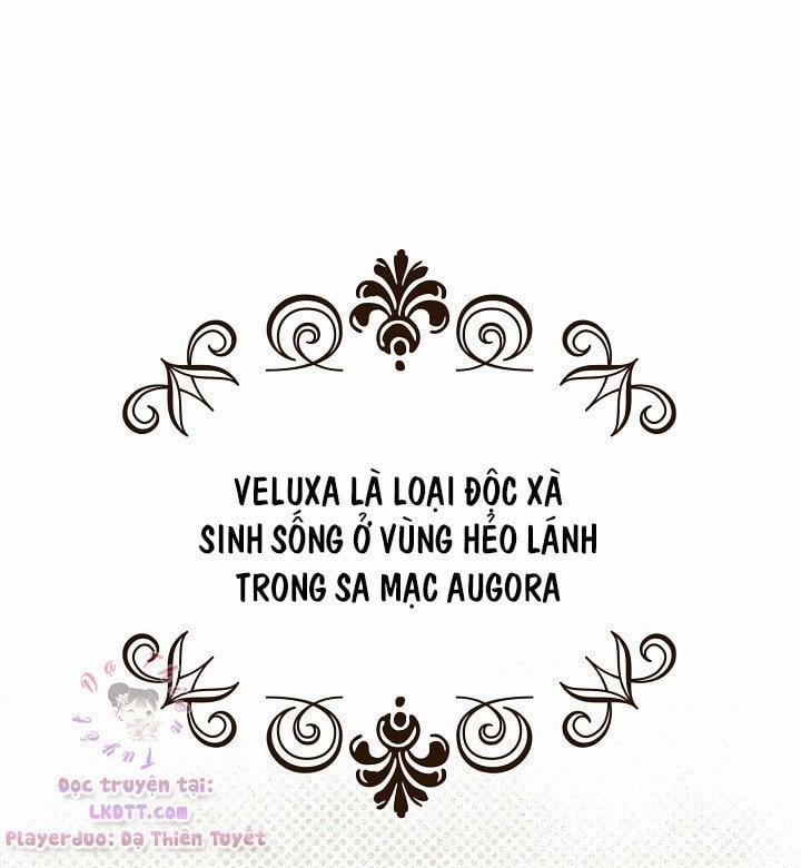 Bí Mật Của Quý Cô 15 trang 20