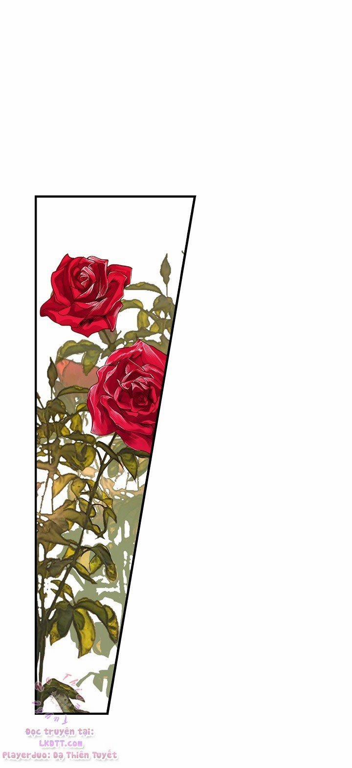 Bí Mật Của Quý Cô 17 trang 1