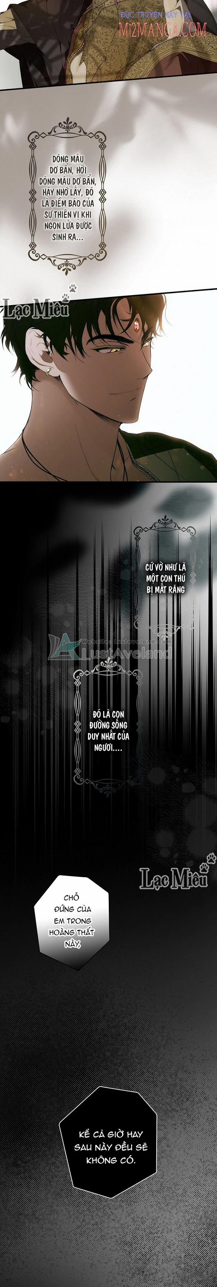 Bí Mật Của Quý Cô 37.5 trang 7