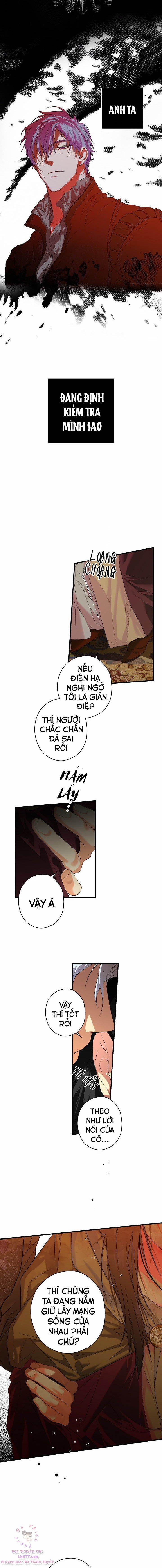 Bí Mật Của Quý Cô 8 trang 11