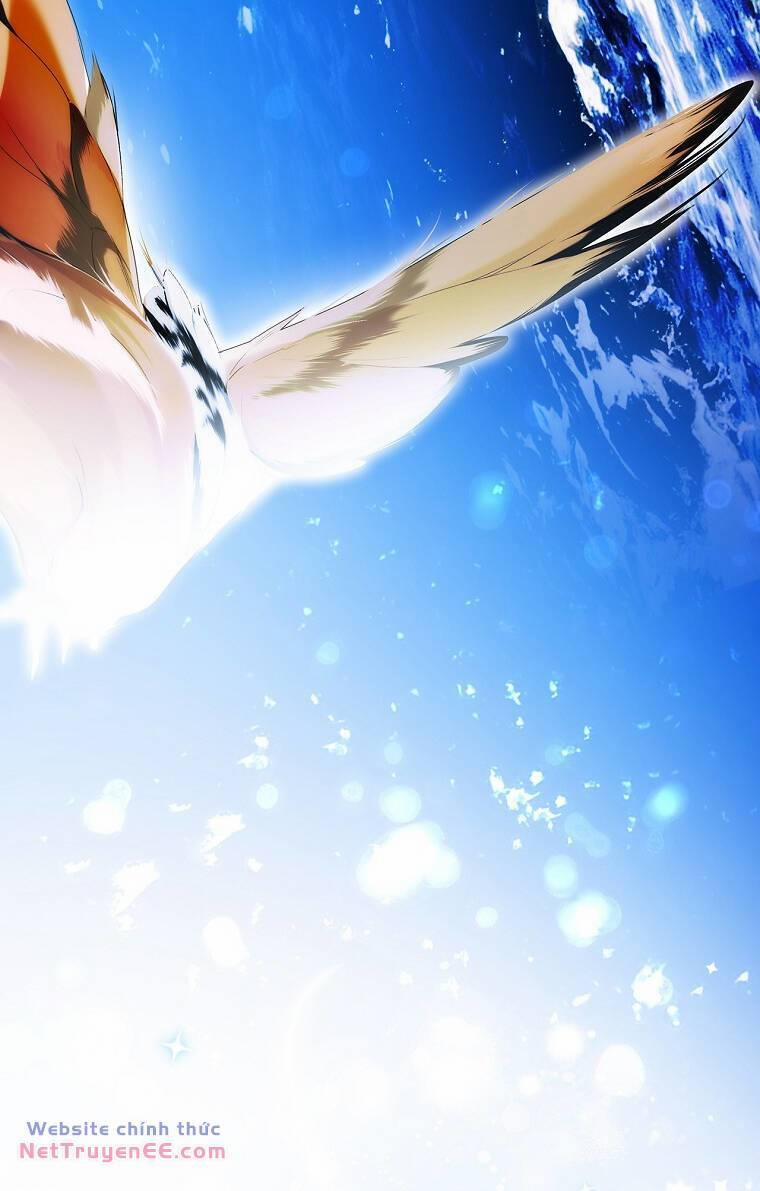 Bí Mật Của Quý Cô 94.1 trang 16