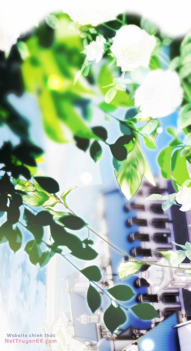 Bí Mật Của Quý Cô 94.1 trang 9