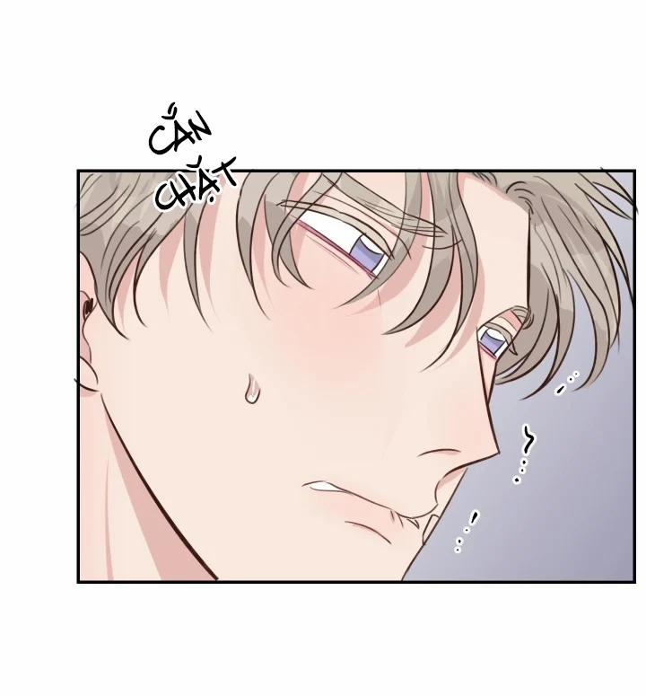 Bí Mật Đời Tư Của Quý Phu Nhân 22.2 trang 13