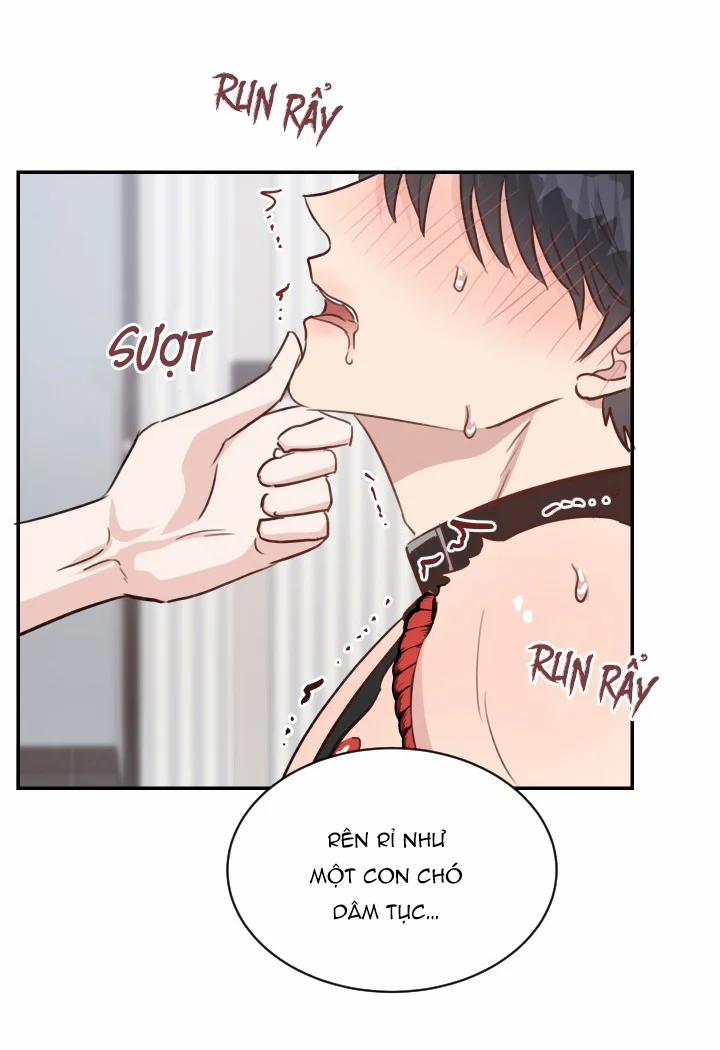 Bí Mật Đời Tư Của Quý Phu Nhân 23.2 trang 14