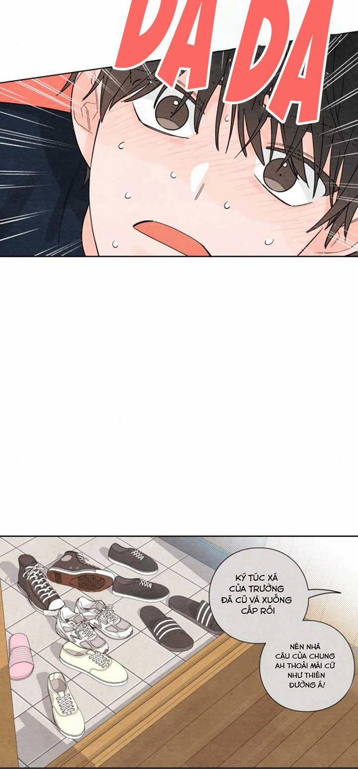 Bí Mật Thanh Xuân 4 trang 37