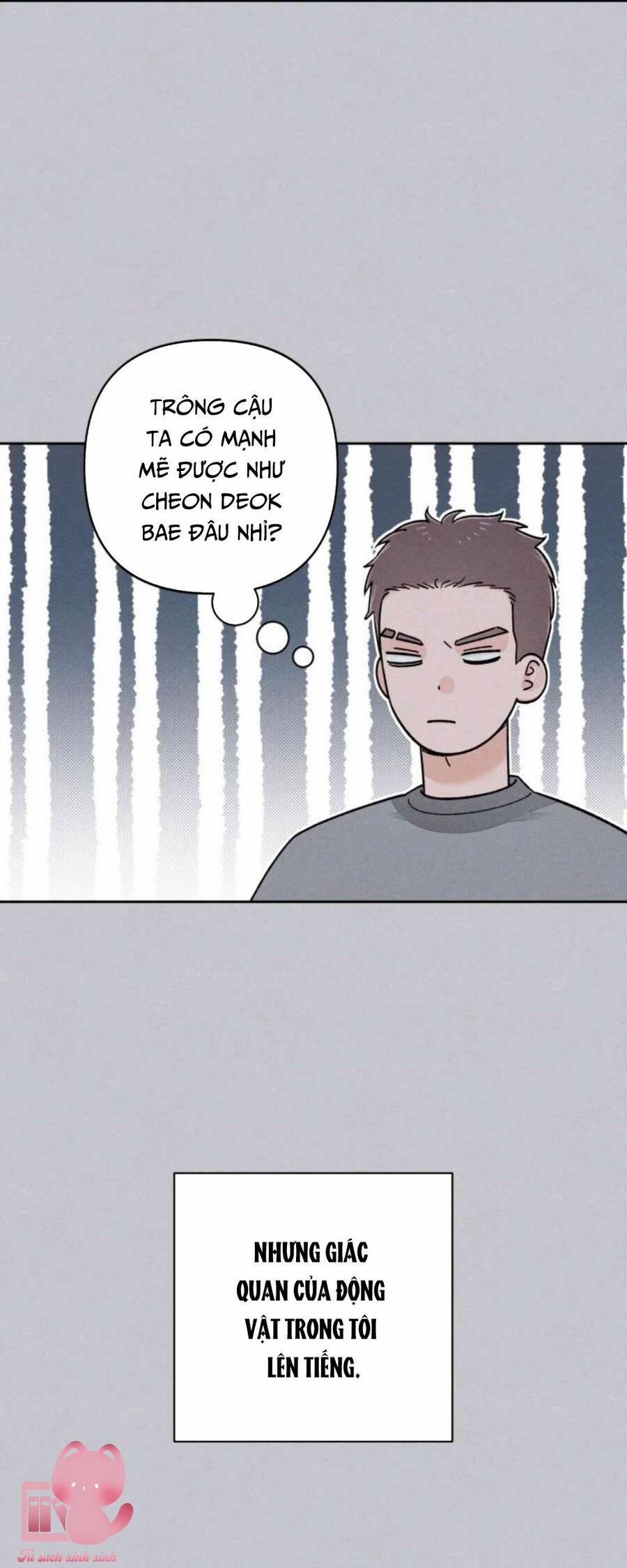 Bí Mật Thanh Xuân 87 trang 19