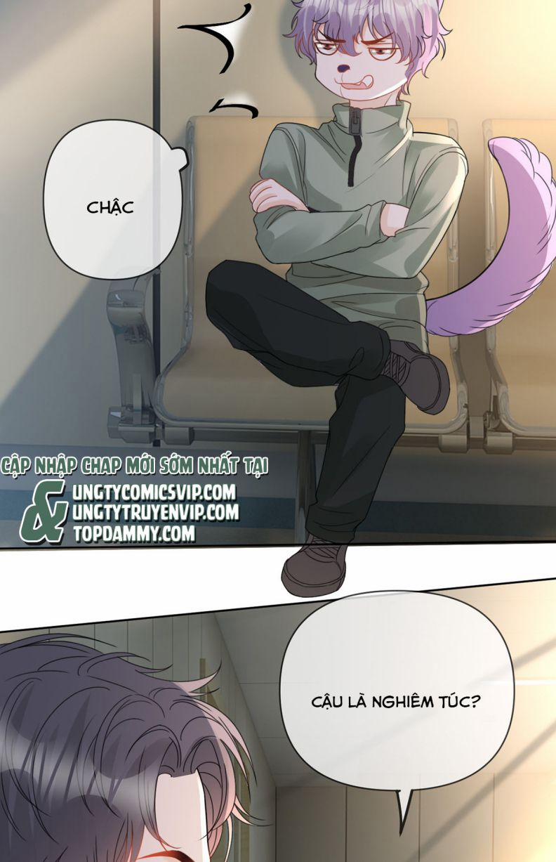 Bị Vạn Người Ghét Sau Khi Trùng Sinh Bạo Hồng Toàn Mạng 65 trang 17