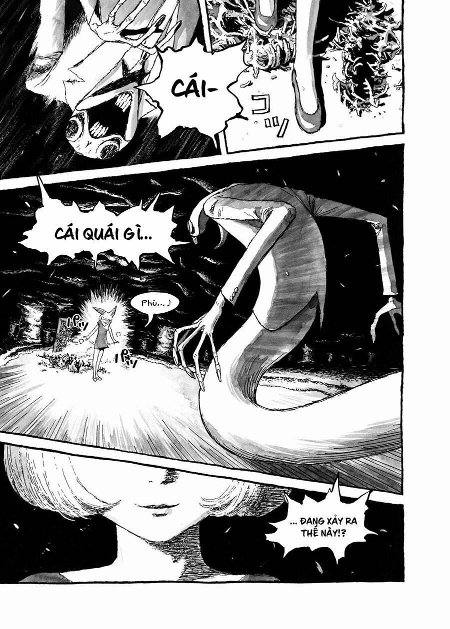 Bibliomania 8 trang 5