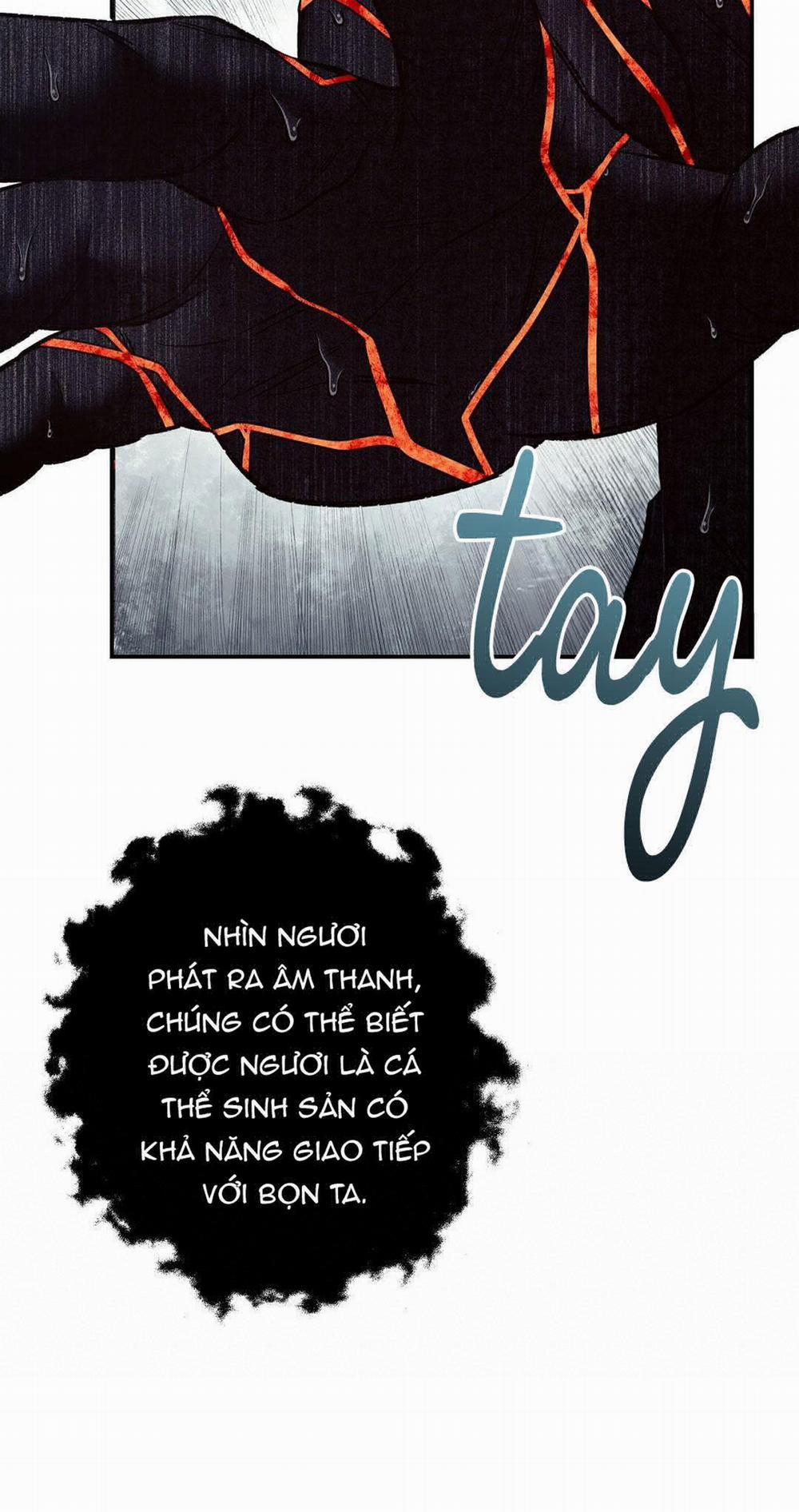 BIỂN ĐỎ 10 trang 54