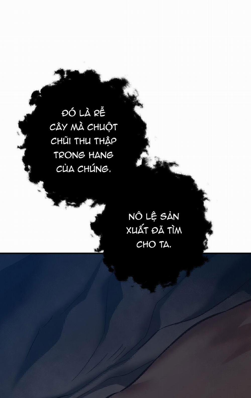 BIỂN ĐỎ 10 trang 59