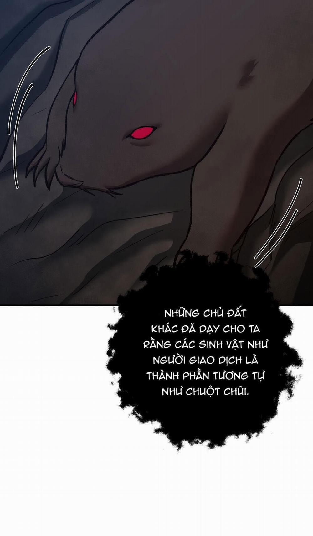 BIỂN ĐỎ 10 trang 60