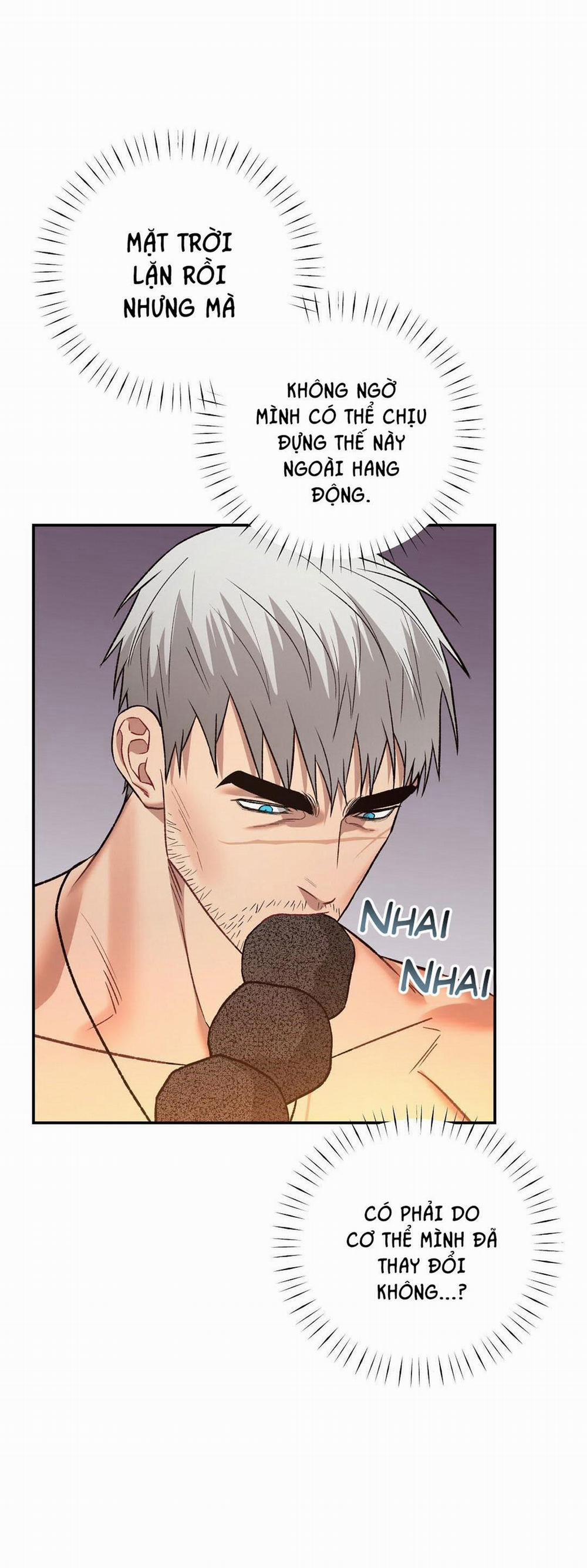 BIỂN ĐỎ 10 trang 88