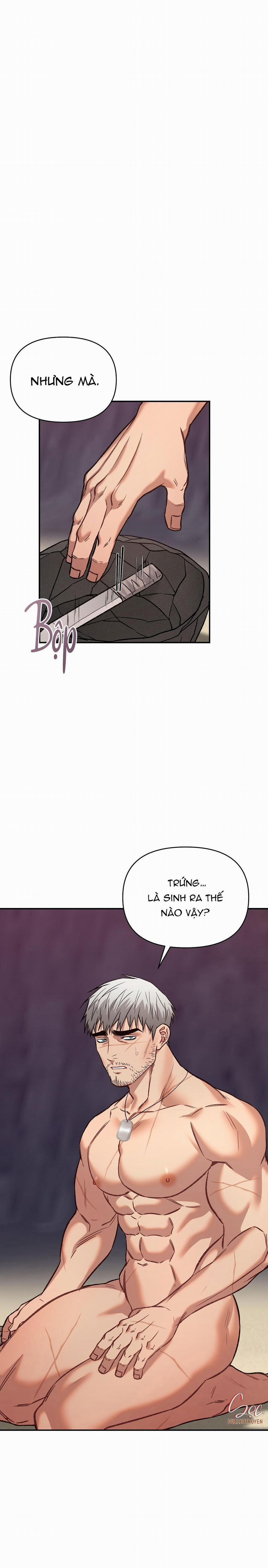 BIỂN ĐỎ 11 trang 0