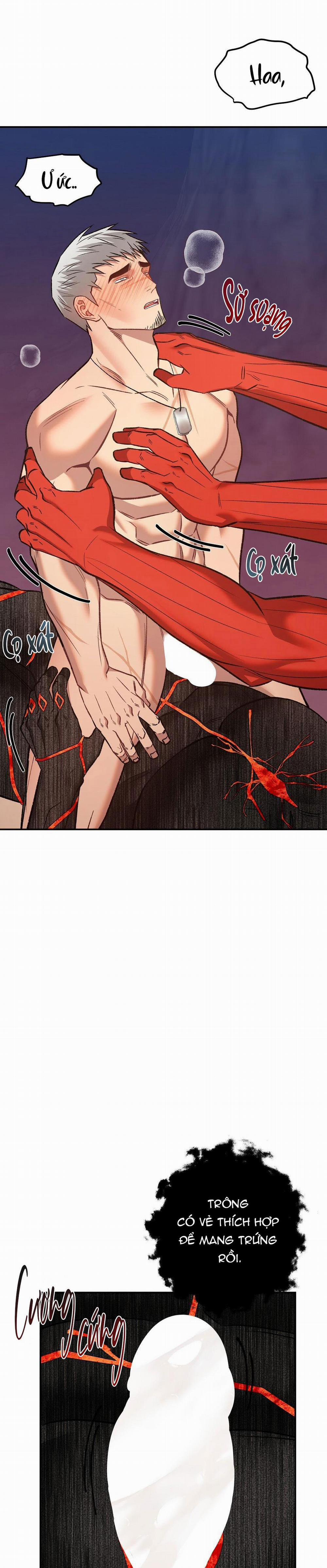 BIỂN ĐỎ 11 trang 23