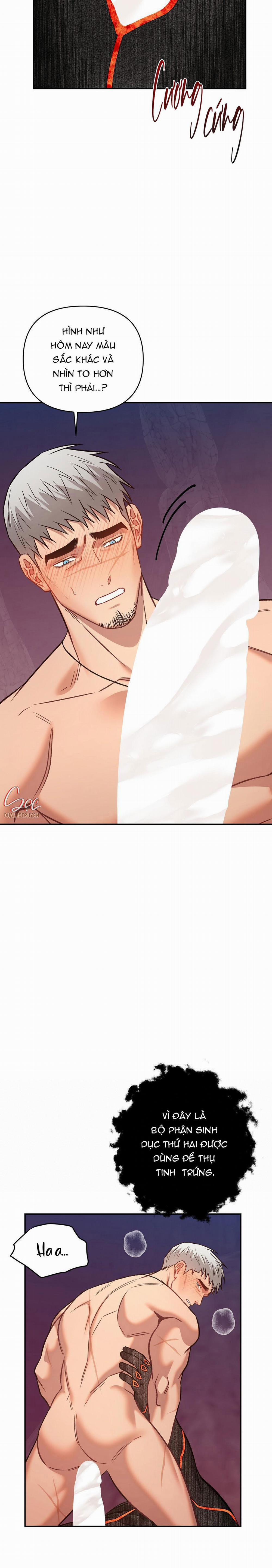 BIỂN ĐỎ 11 trang 24