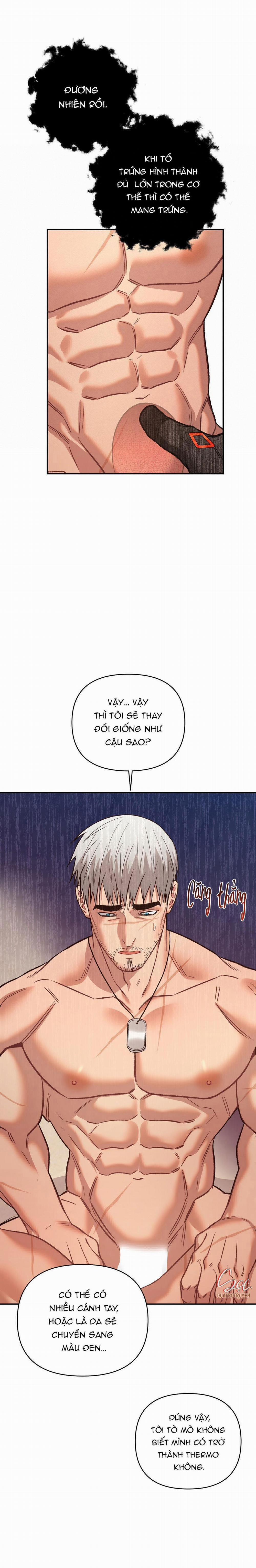 BIỂN ĐỎ 11 trang 3