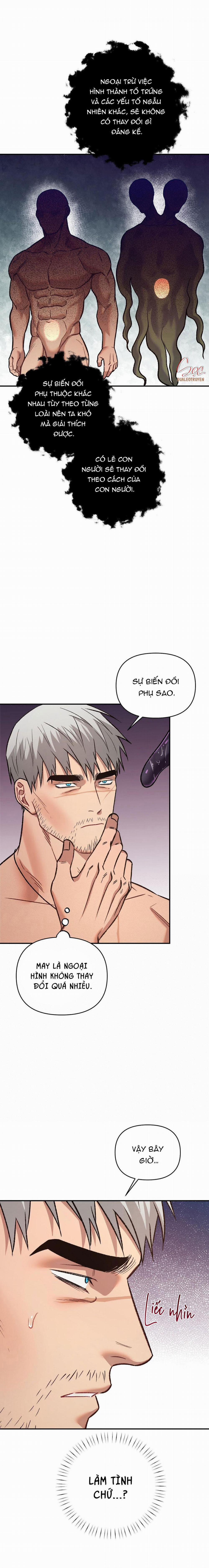 BIỂN ĐỎ 11 trang 5