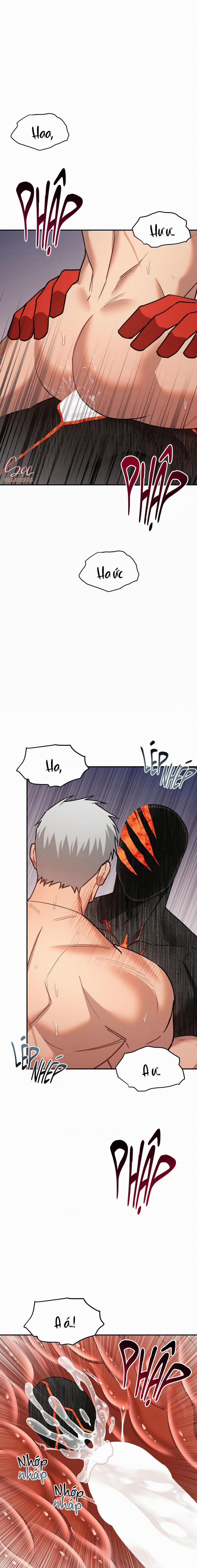 BIỂN ĐỎ 12 trang 11