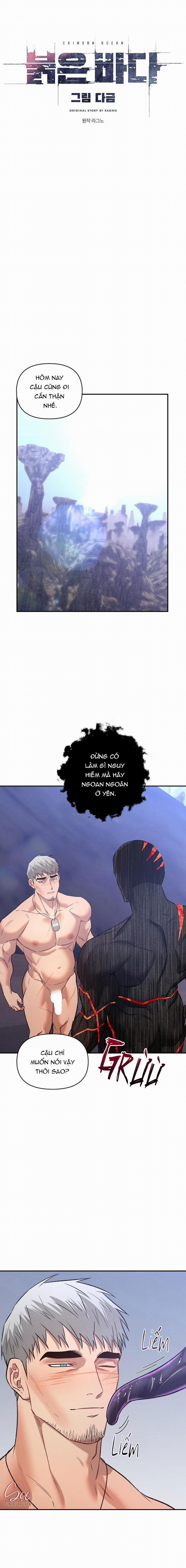 BIỂN ĐỎ 12 trang 13