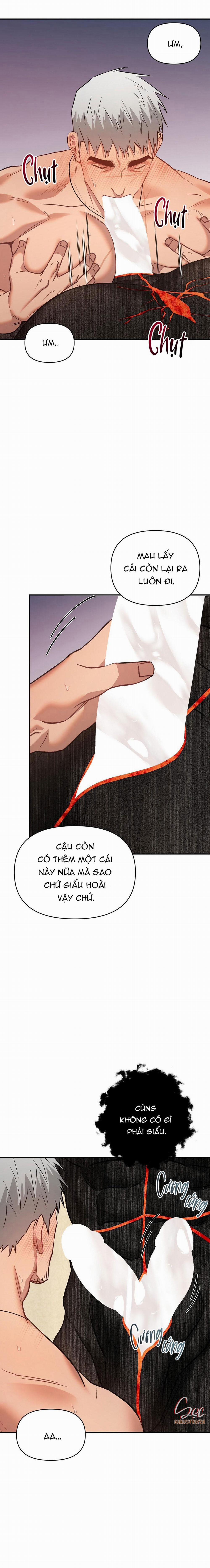 BIỂN ĐỎ 12 trang 19