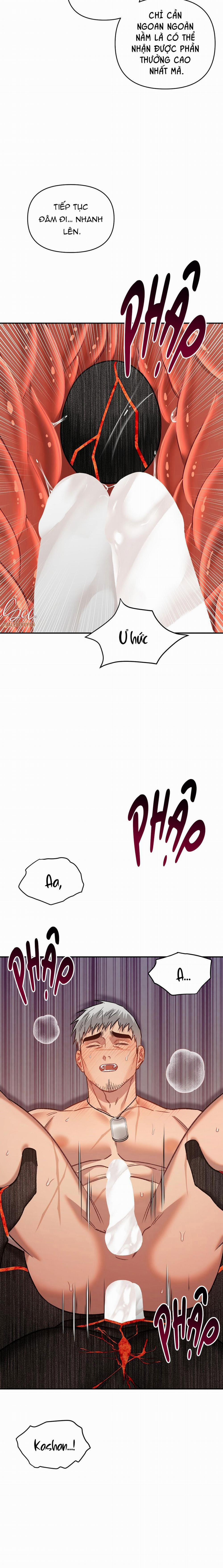 BIỂN ĐỎ 12 trang 24