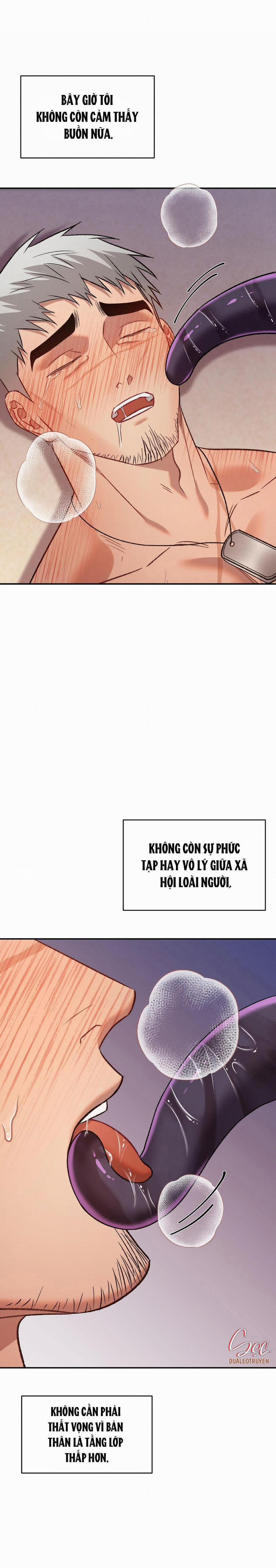 BIỂN ĐỎ 12 trang 25