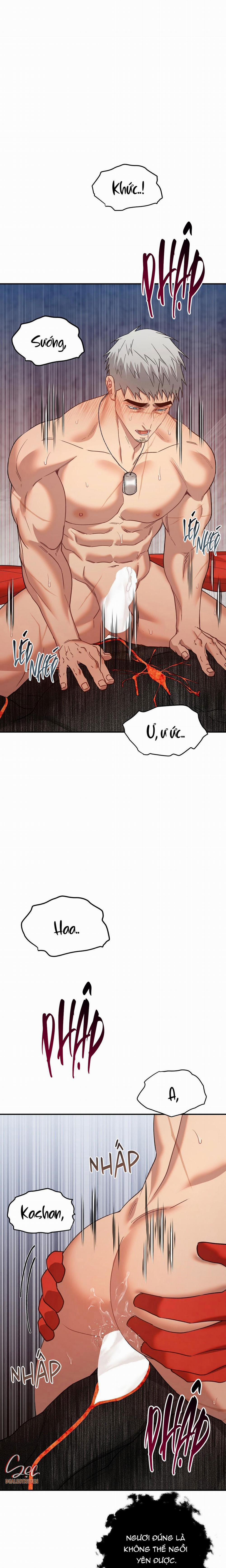 BIỂN ĐỎ 12 trang 8