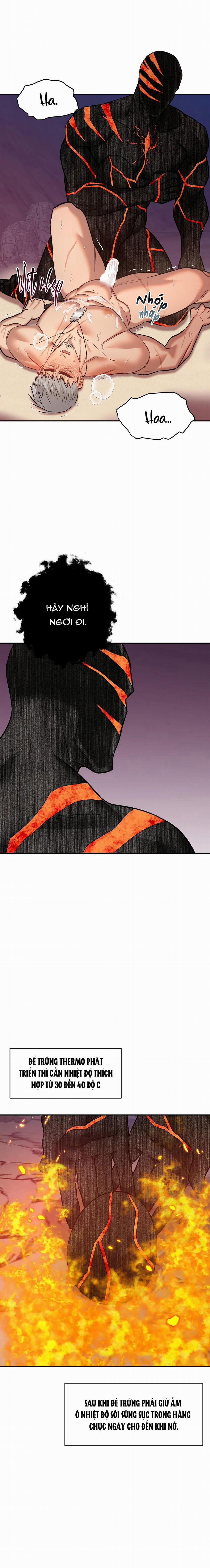 BIỂN ĐỎ 13 trang 10