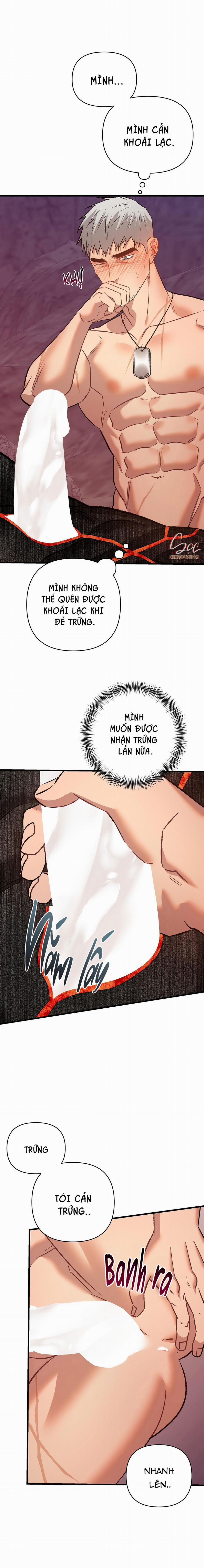 BIỂN ĐỎ 13 trang 21