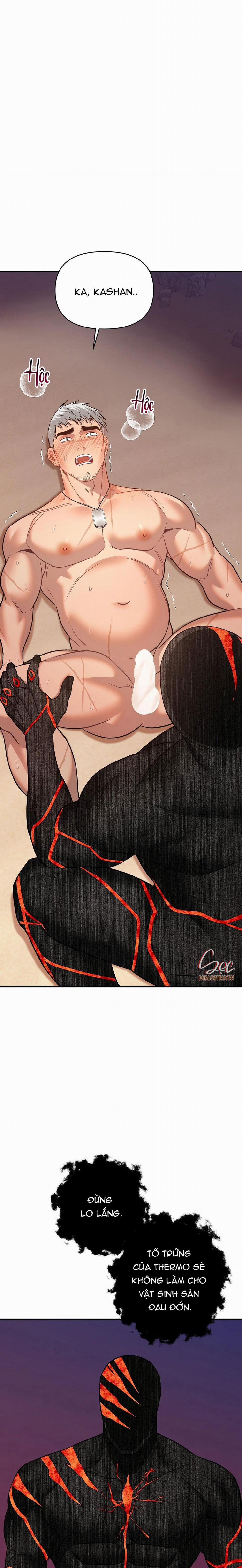 BIỂN ĐỎ 13 trang 5